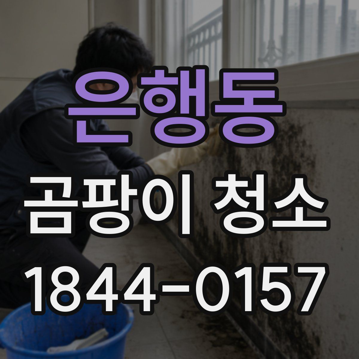 은행동 곰팡이 청소