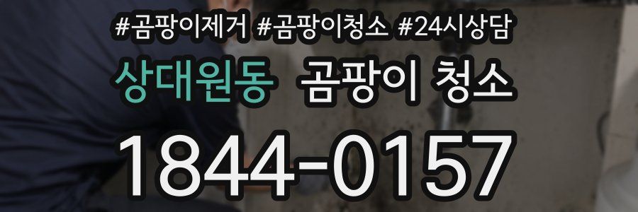 상대원동 곰팡이 청소