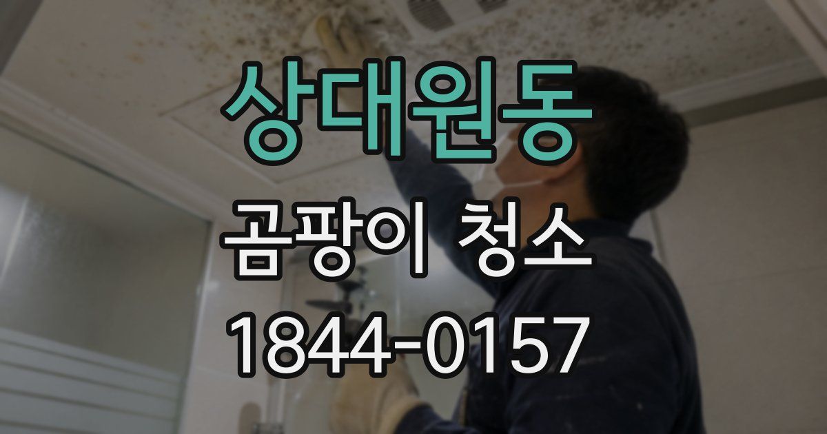 상대원동 곰팡이 청소