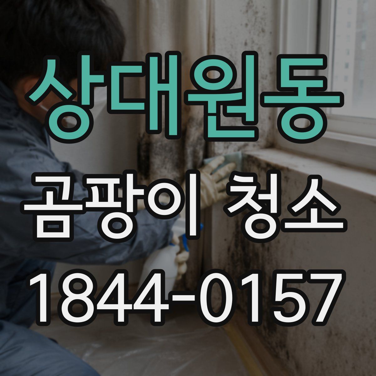 상대원동 곰팡이 청소