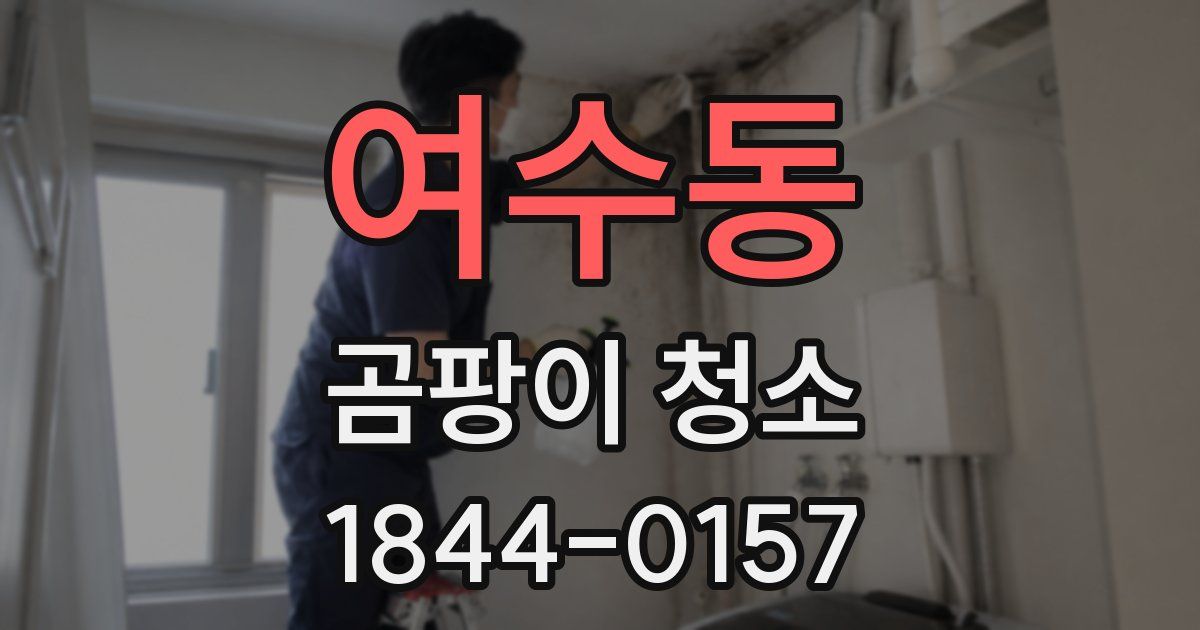 여수동 곰팡이 청소