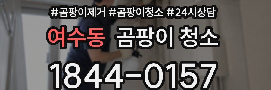 여수동 곰팡이 청소