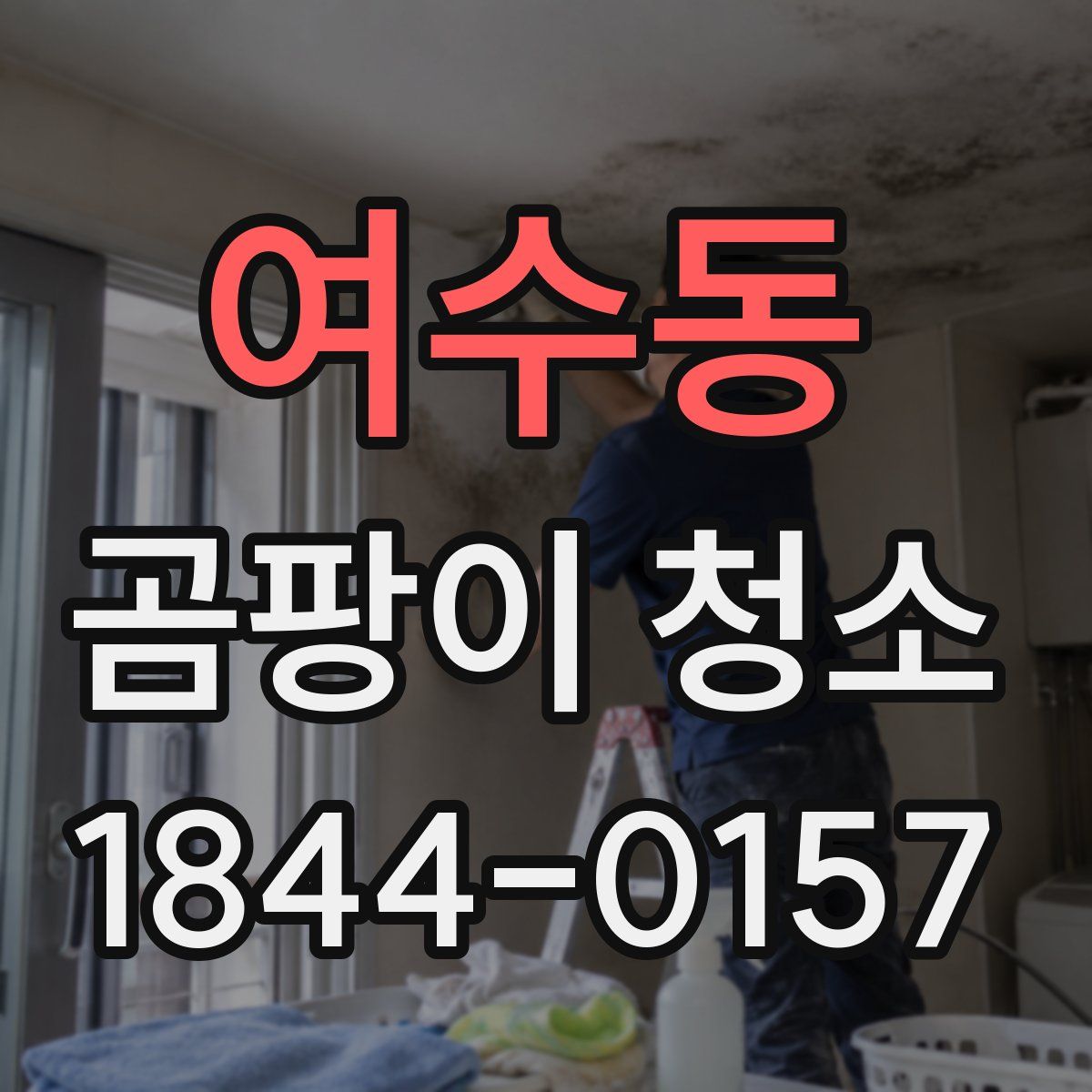 여수동 곰팡이 청소