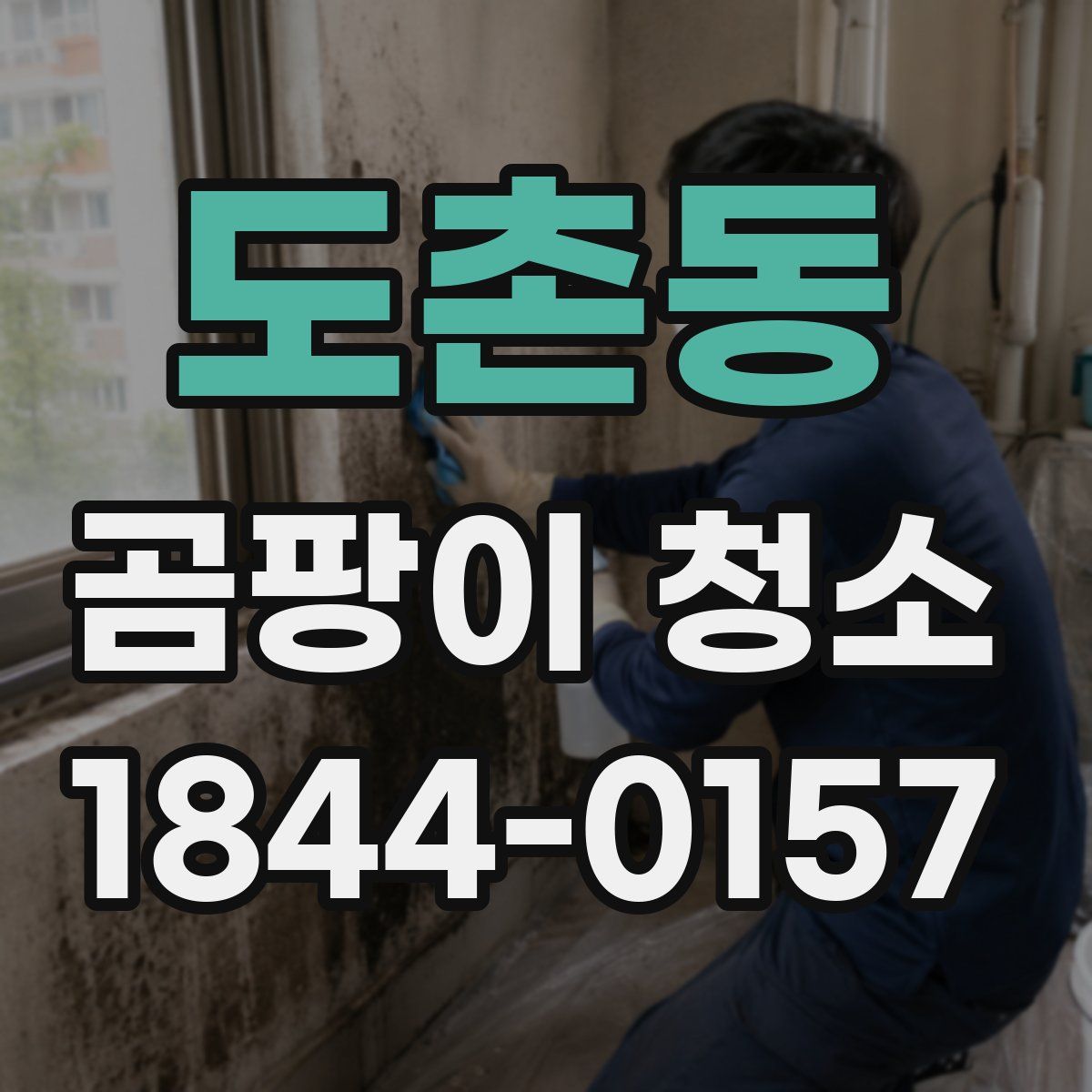 도촌동 곰팡이 청소