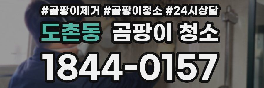 도촌동 곰팡이 청소