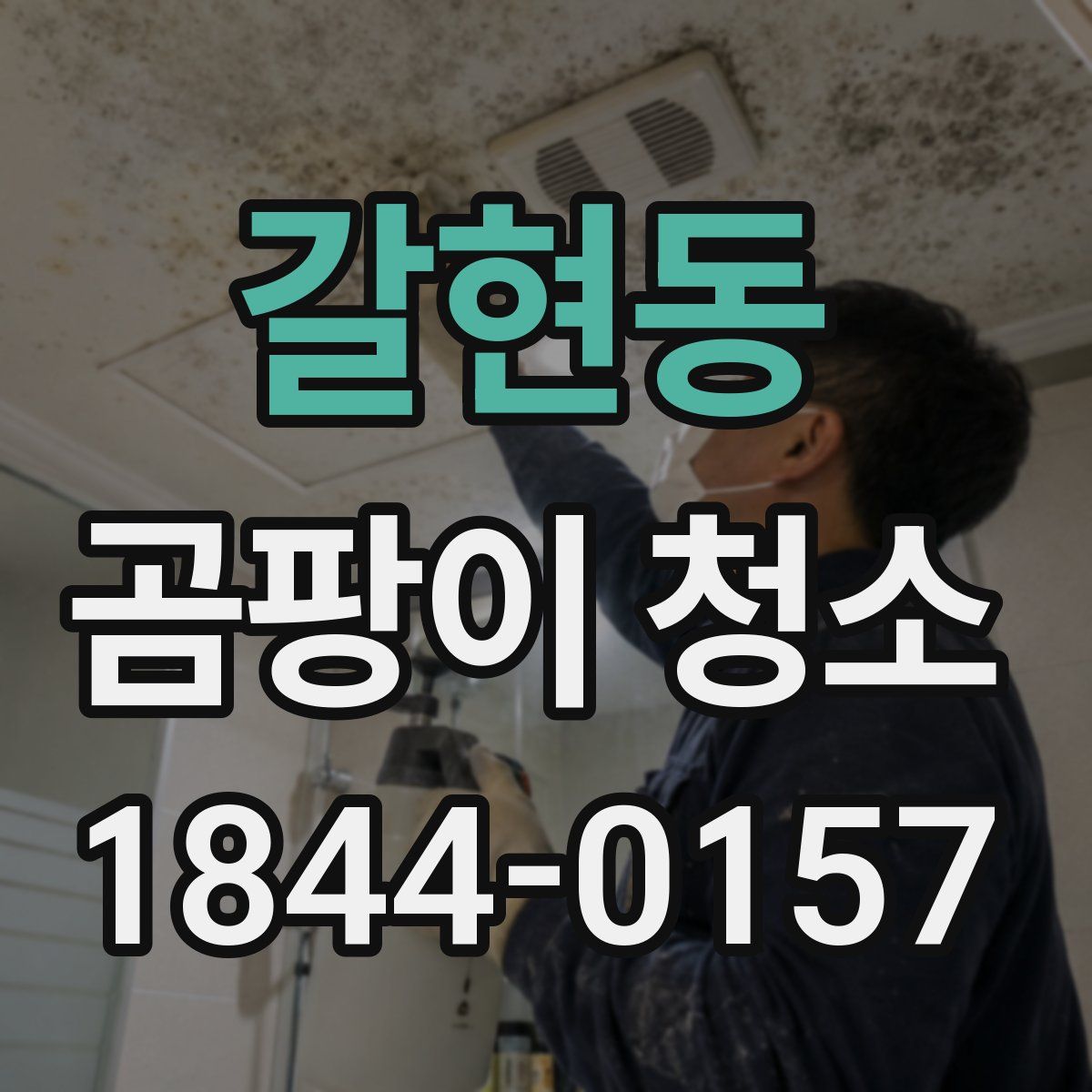 갈현동 곰팡이 청소