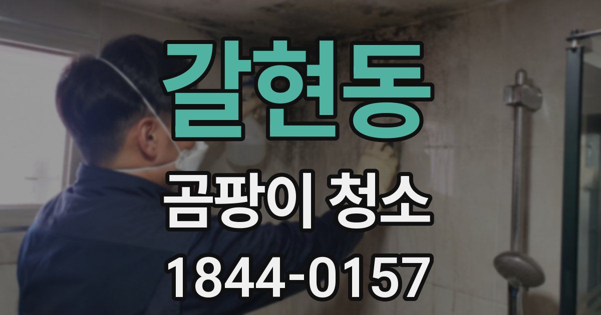 갈현동 곰팡이 청소