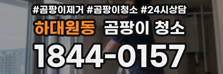 하대원동 곰팡이 청소