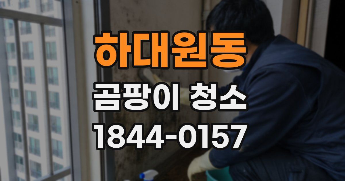 하대원동 곰팡이 청소