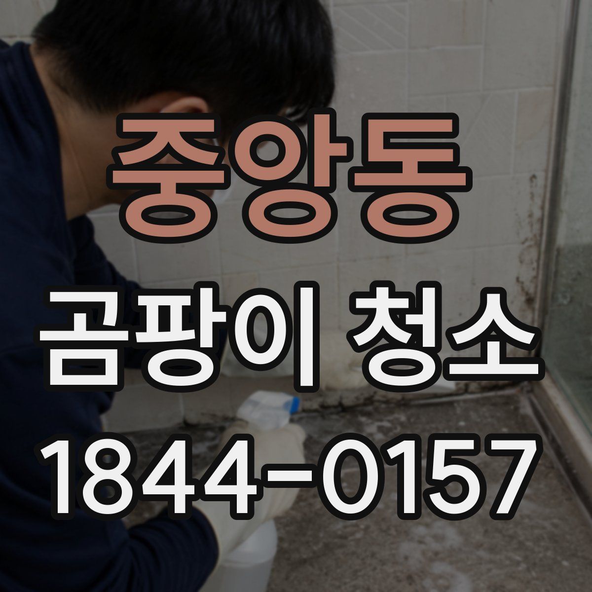 중앙동 곰팡이 청소