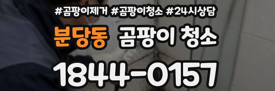 분당동 곰팡이 청소