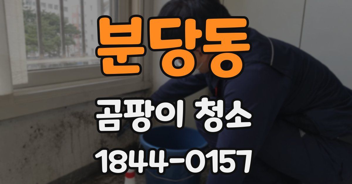 분당동 곰팡이 청소