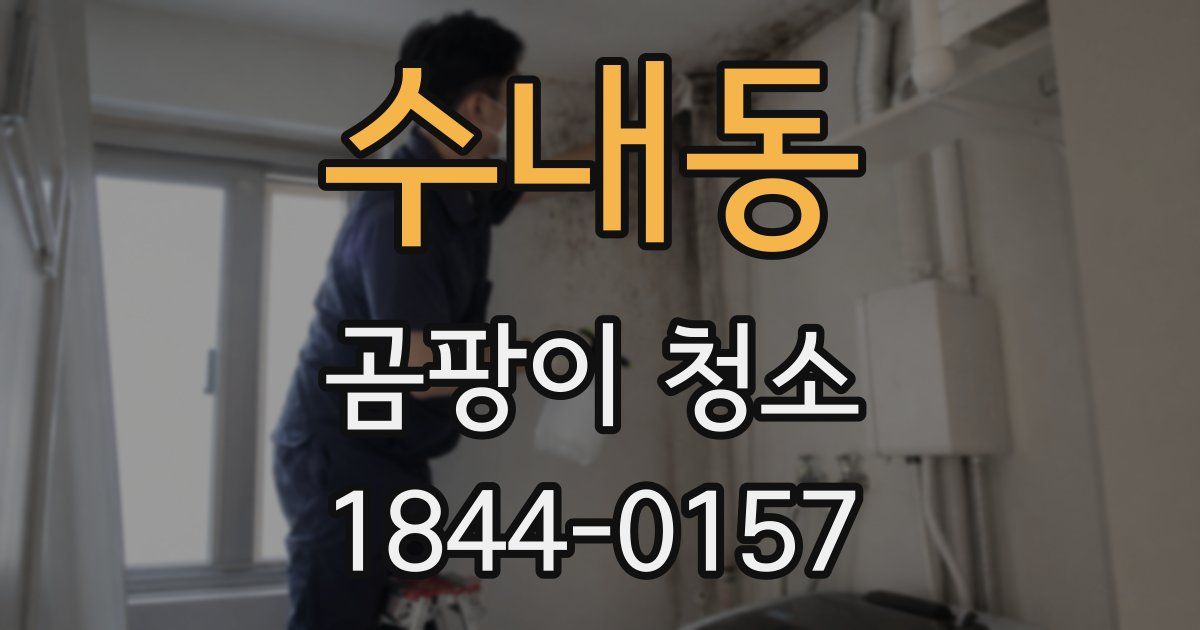 수내동 곰팡이 청소