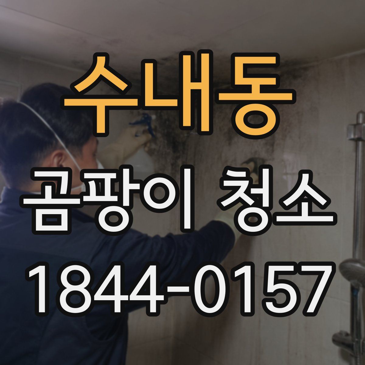 수내동 곰팡이 청소
