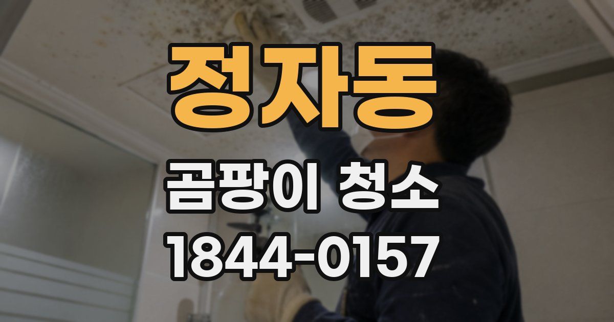 정자동 곰팡이 청소