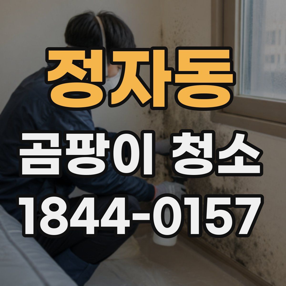 정자동 곰팡이 청소