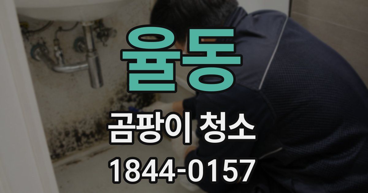 율동 곰팡이 청소