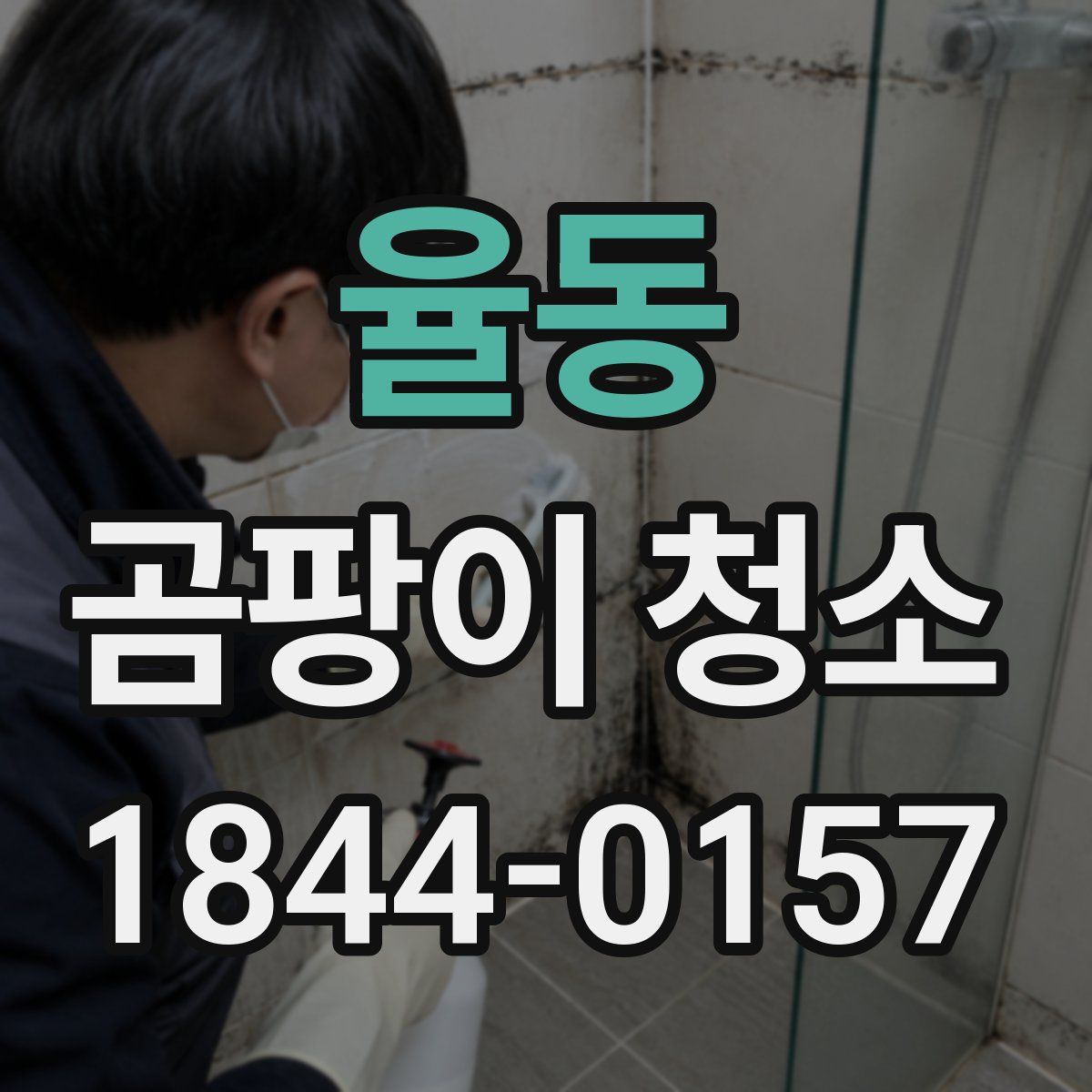 율동 곰팡이 청소