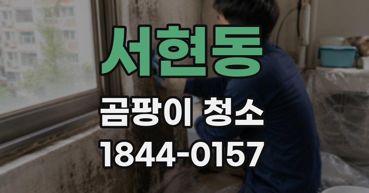 서현동 곰팡이 청소
