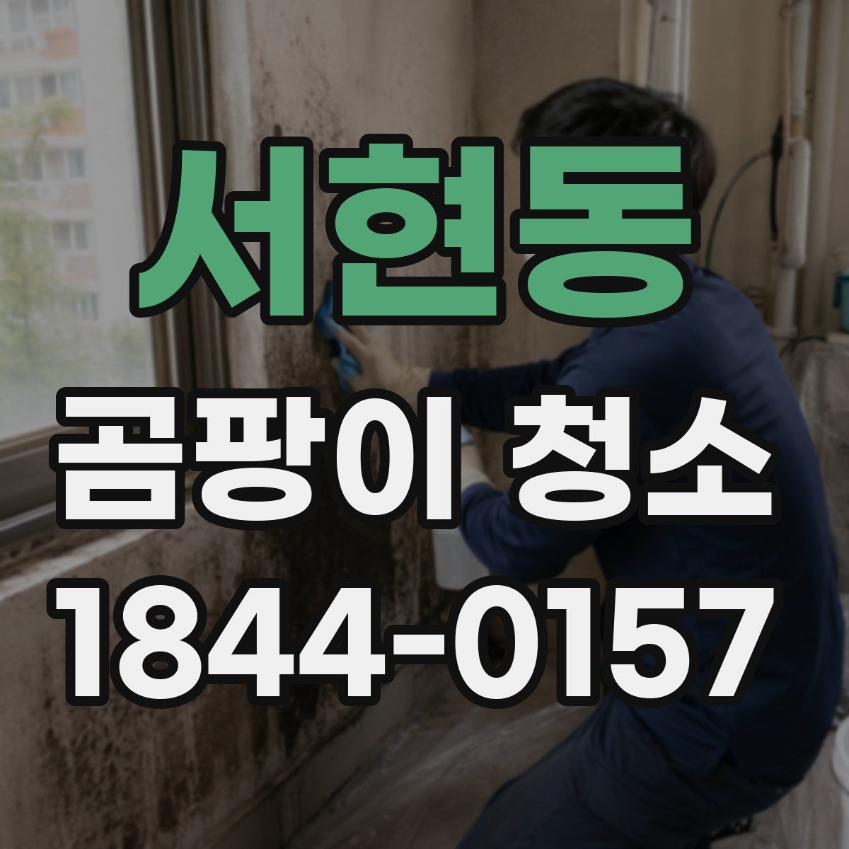 서현동 곰팡이 청소