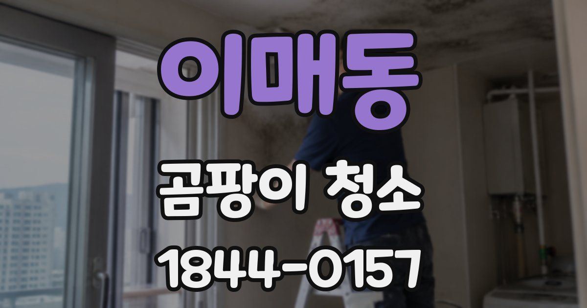 이매동 곰팡이 청소