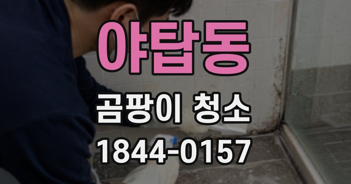 야탑동 곰팡이 청소