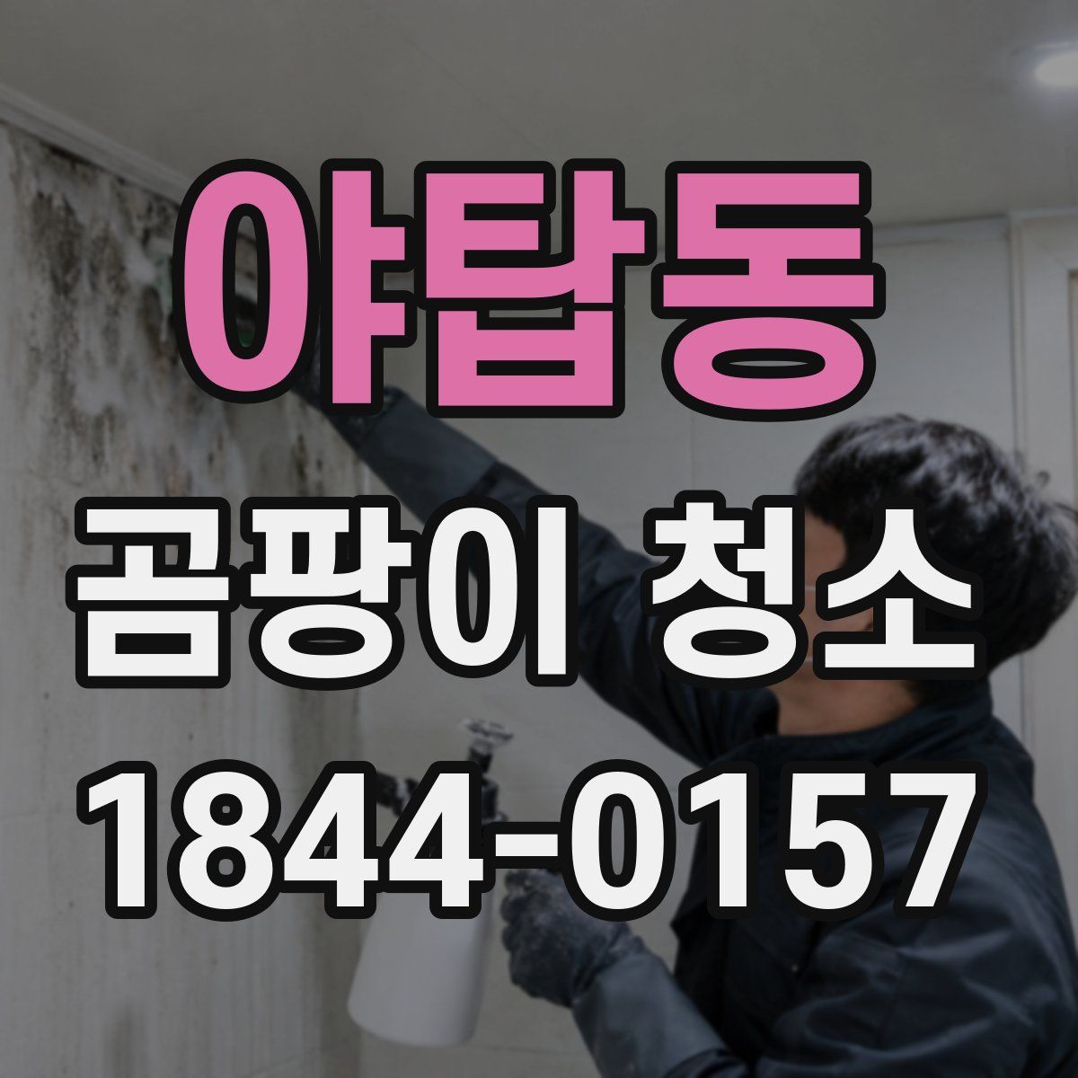 야탑동 곰팡이 청소