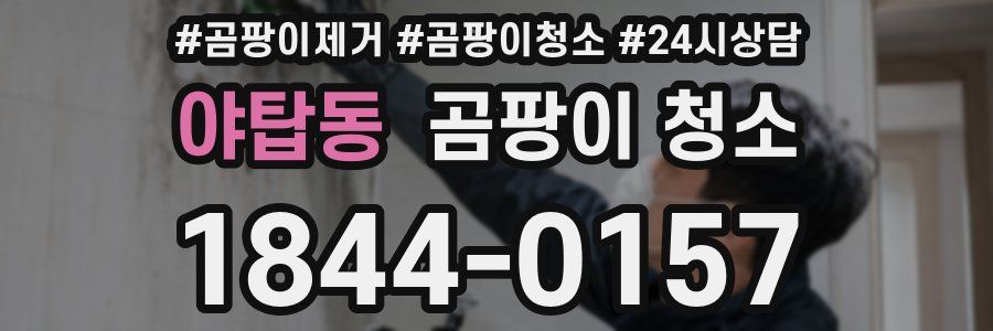 야탑동 곰팡이 청소