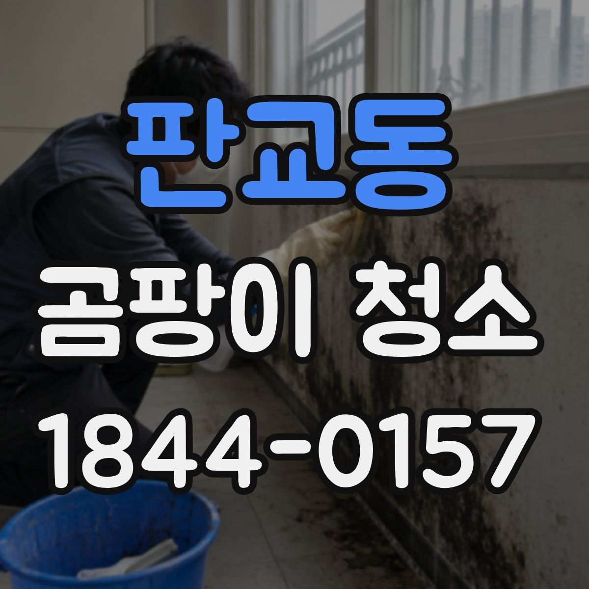 판교동 곰팡이 청소