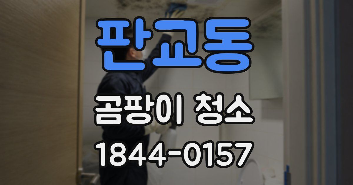 판교동 곰팡이 청소