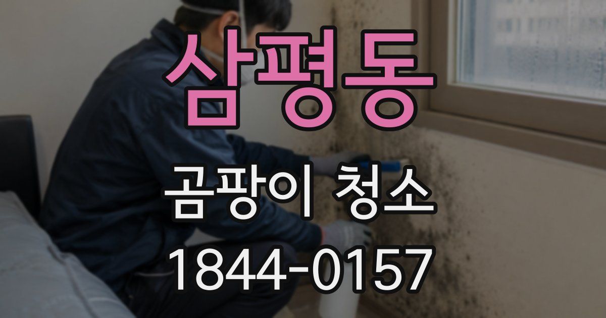 삼평동 곰팡이 청소