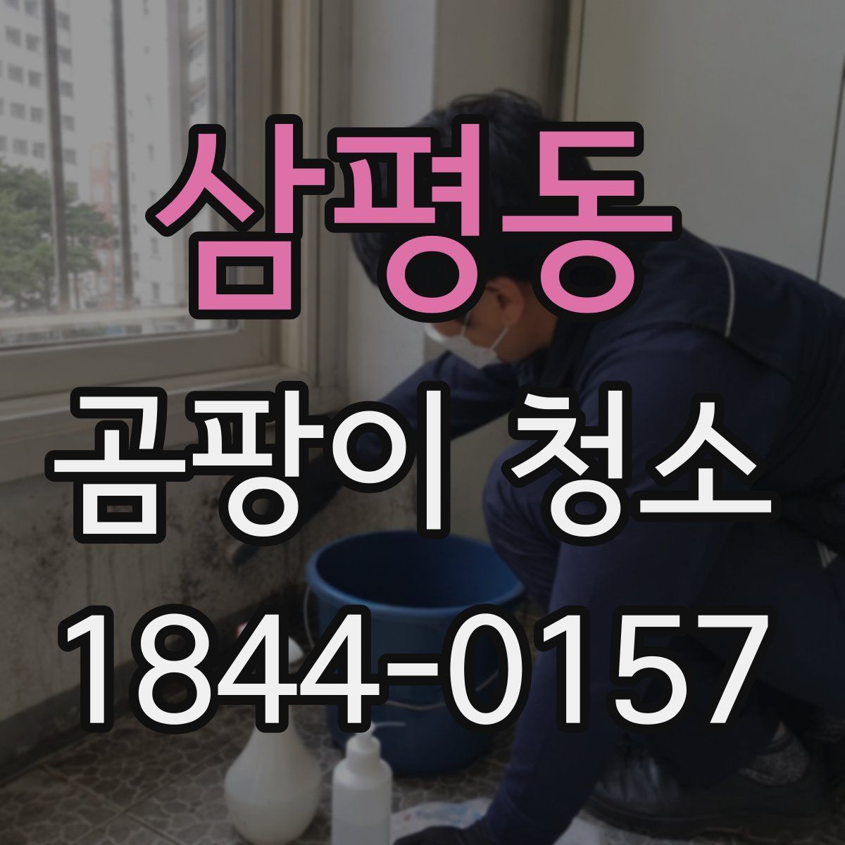 삼평동 곰팡이 청소