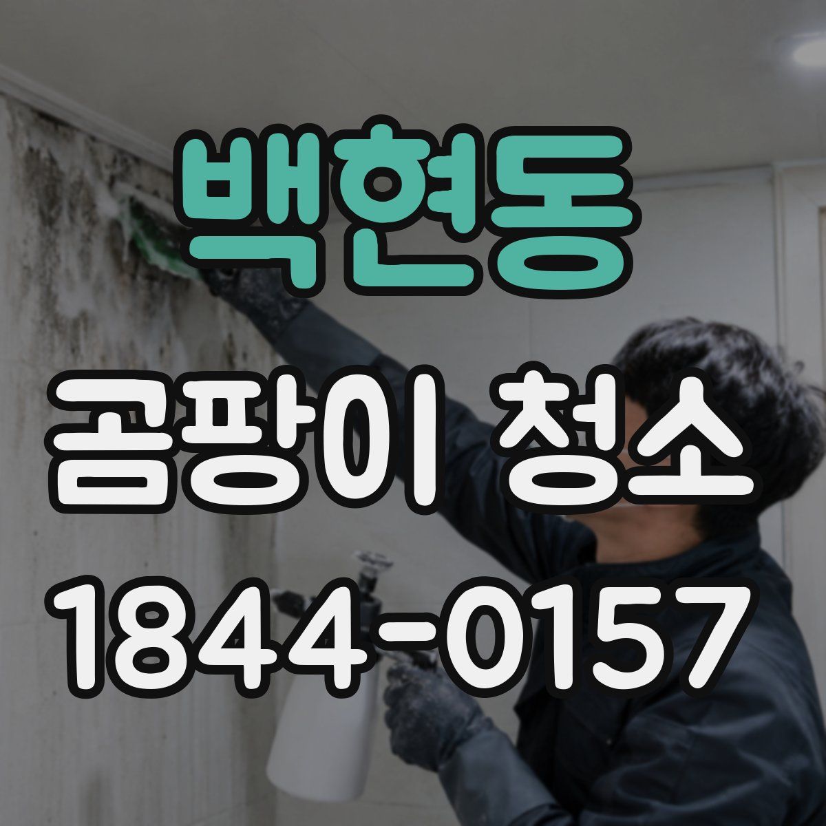 백현동 곰팡이 청소