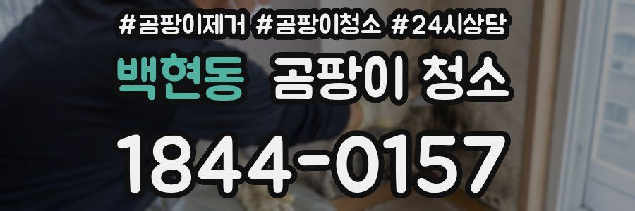 백현동 곰팡이 청소