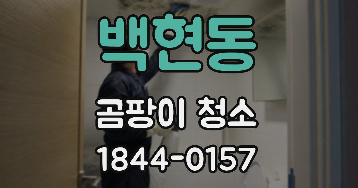 백현동 곰팡이 청소