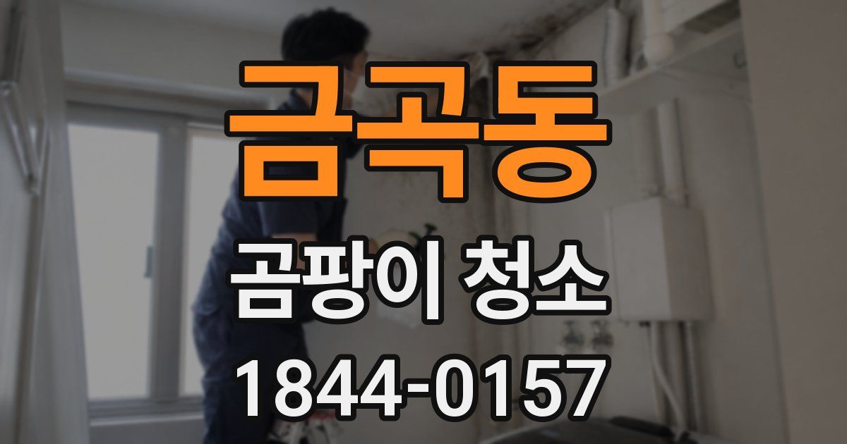 금곡동 곰팡이 청소