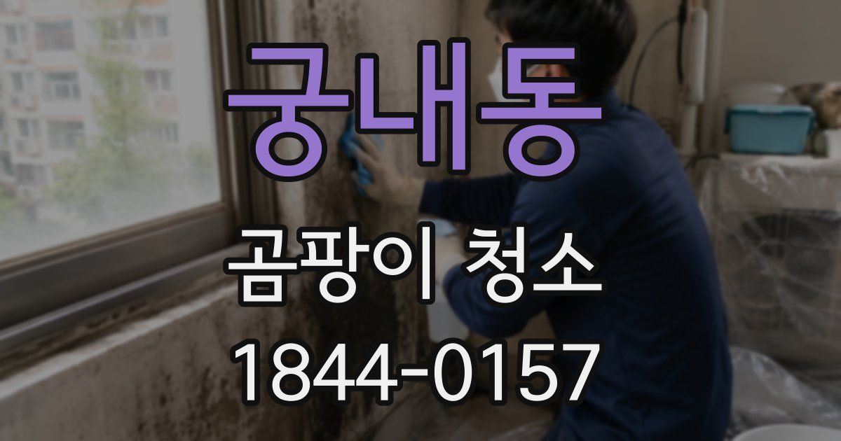 궁내동 곰팡이 청소