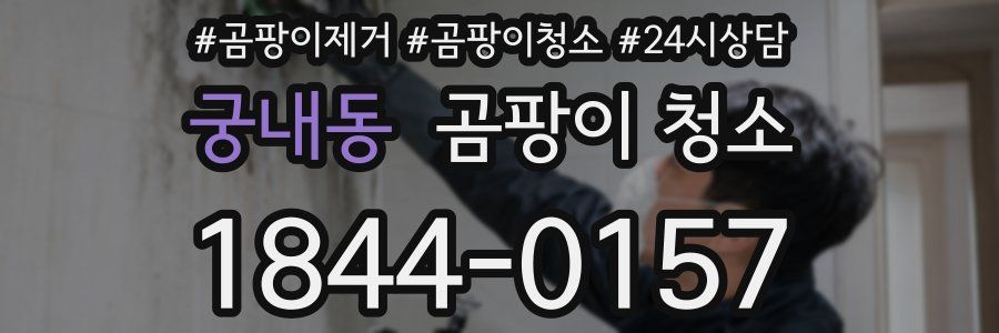 궁내동 곰팡이 청소