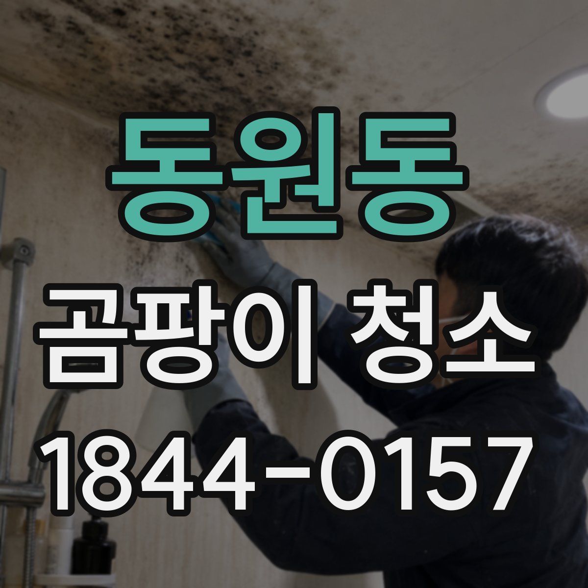 동원동 곰팡이 청소