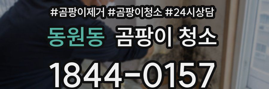 동원동 곰팡이 청소