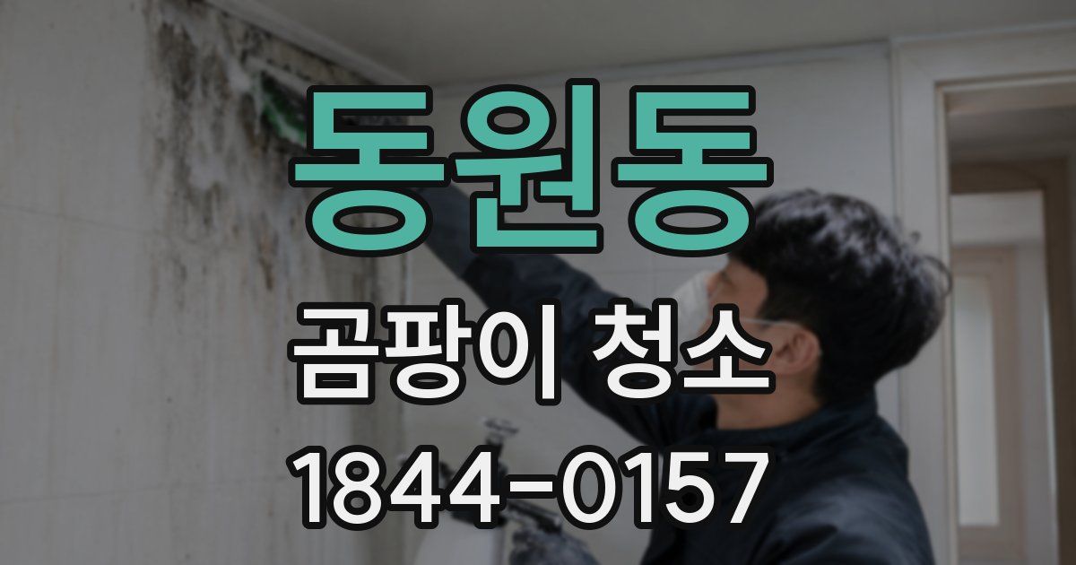 동원동 곰팡이 청소