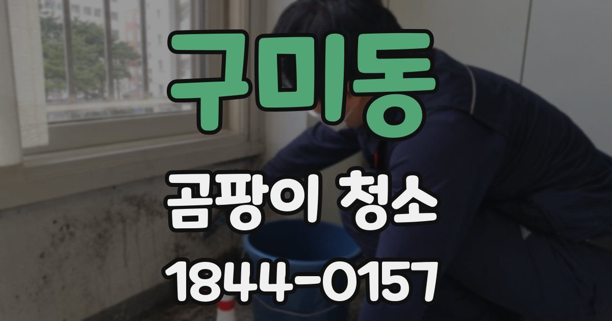구미동 곰팡이 청소