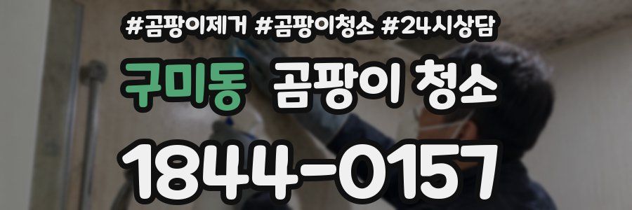 구미동 곰팡이 청소