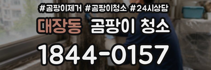 대장동 곰팡이 청소