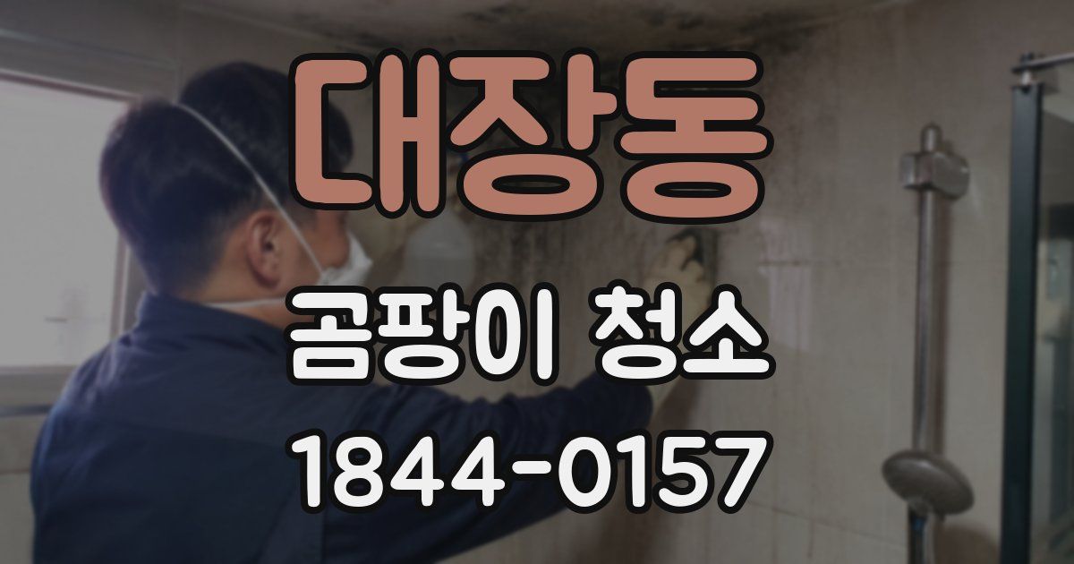 대장동 곰팡이 청소
