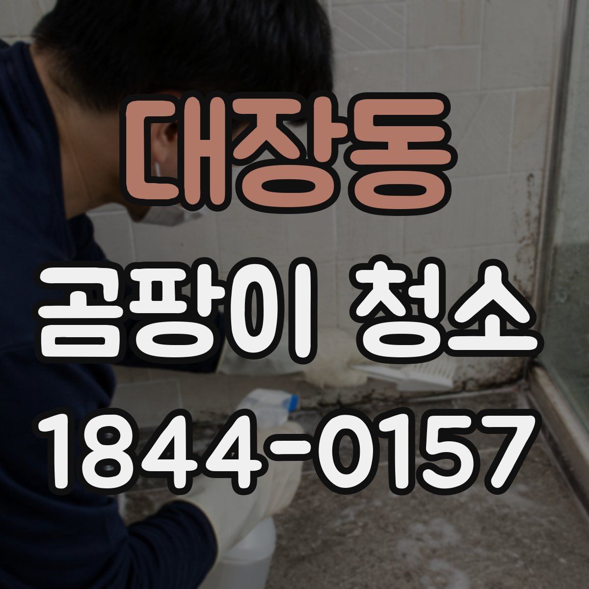대장동 곰팡이 청소