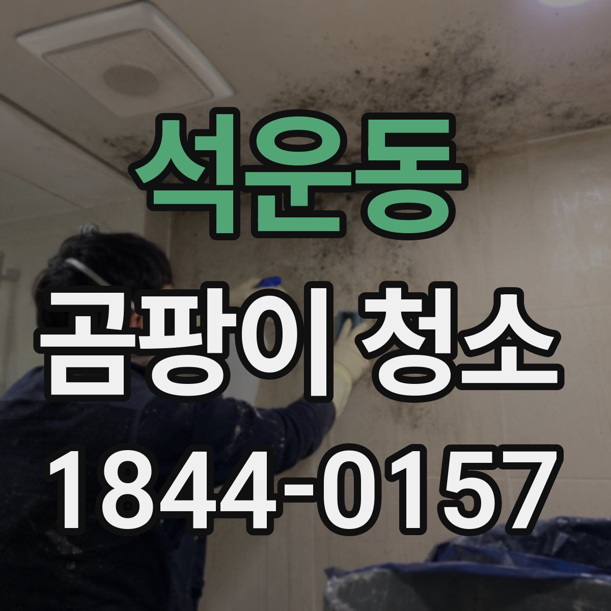 석운동 곰팡이 청소