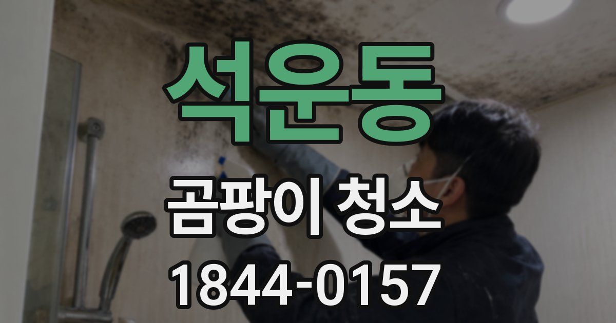 석운동 곰팡이 청소
