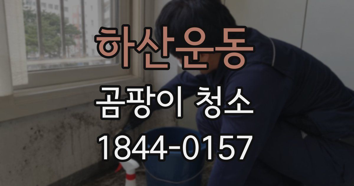 하산운동 곰팡이 청소