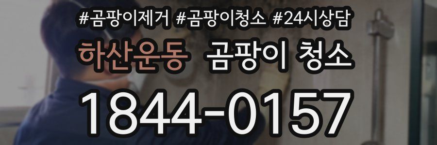 하산운동 곰팡이 청소